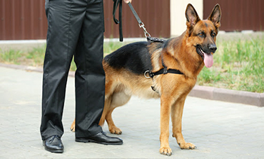 service img